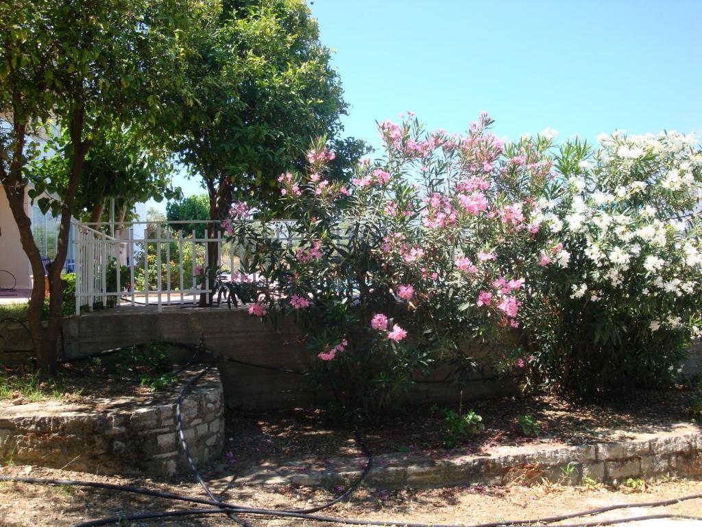 Calamon Apartments Episkopi  Exterior photo