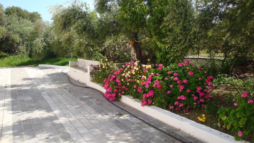 Calamon Apartments Episkopi  Exterior photo