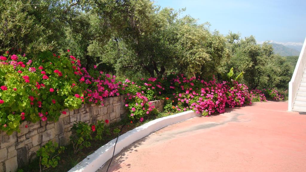 Calamon Apartments Episkopi  Exterior photo